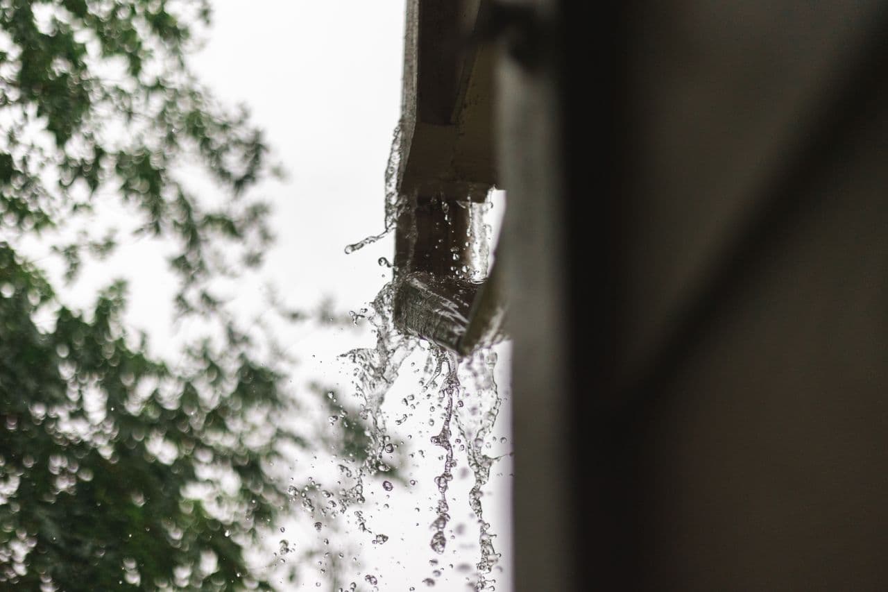 Gutter cleaning